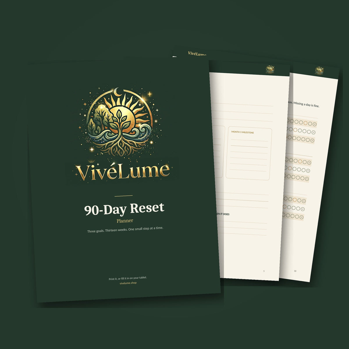 90-Day Reset Planner