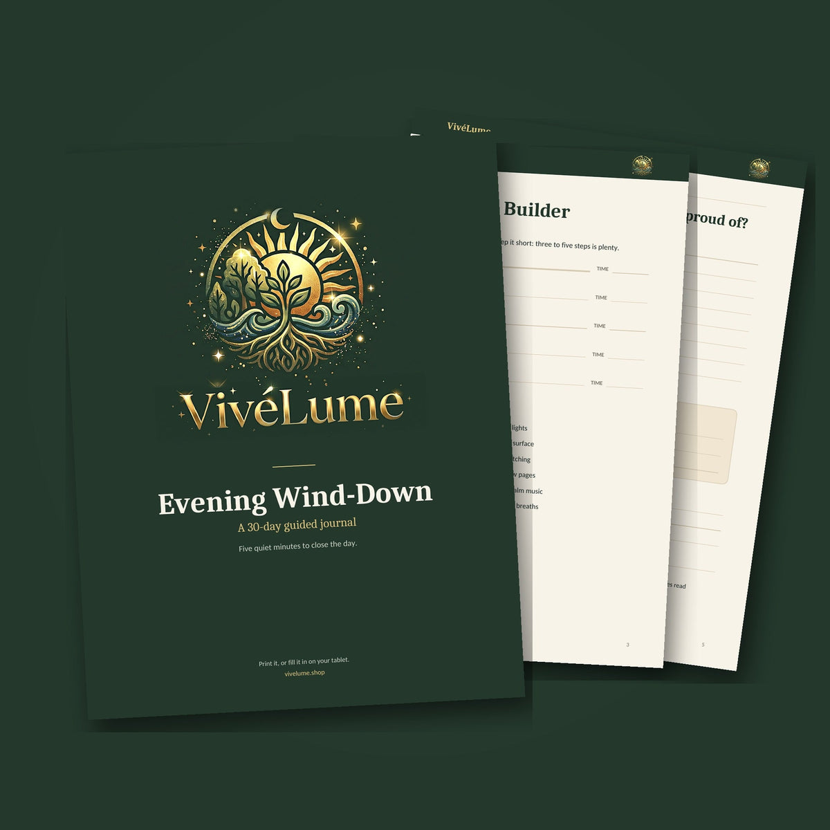 Evening Wind-Down Journal