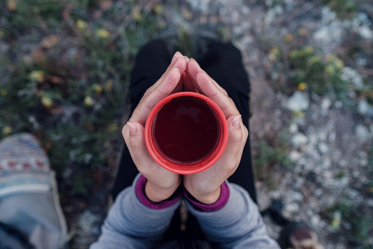 Sacred Grounds Chaga Coffee Mocha